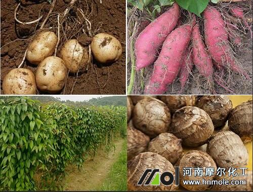 �K�o���������⛷�