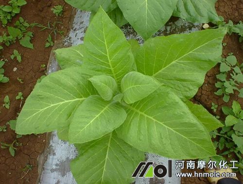 ����׷ʩƽ��ˮ�ܷ�