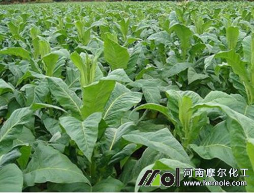 ���݇�ʩˮ���Է���