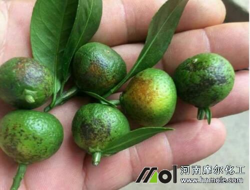 ����ȱ�~���F