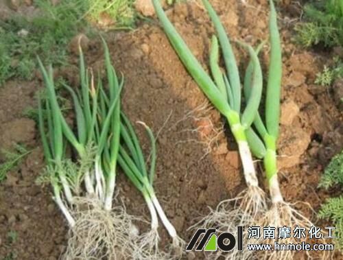 ˮ�ܷ�Ч������ԇ�