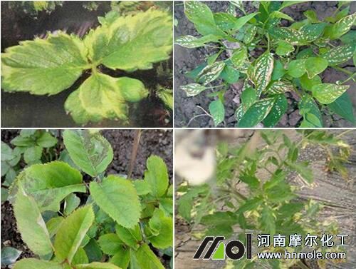 ˮ�ܷ��^��ʹ�ñ��F