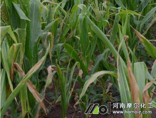 ˮ�ܷ�ʹ���^�����F