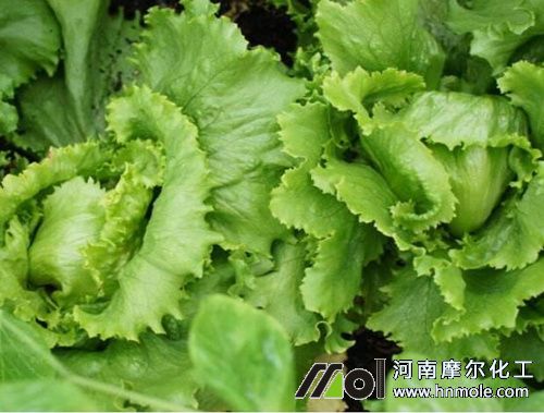 ��������׷ʩˮ�ܷ�