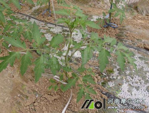 ��������׷ʩˮ�ܷ�