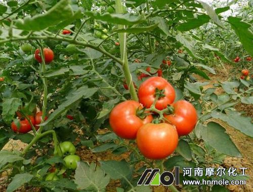 ���ѽY(ji��)����׷ʩˮ�ܷ�