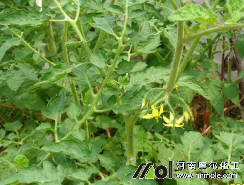 ���ѻ���׷ʩˮ�ܷ�