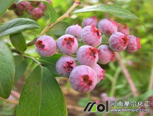 �����{ݮ�Y����׷ʩˮ�ܷ�