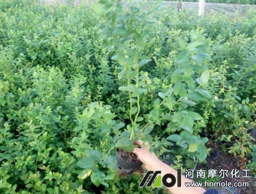 �����{ݮ׷ʩˮ�ܷ�