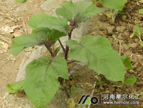 ��������׷ʩˮ�ܷ�