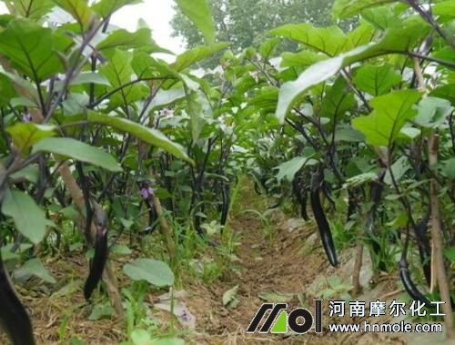 ���ӽY(ji��)��׷ʩˮ�ܷ�