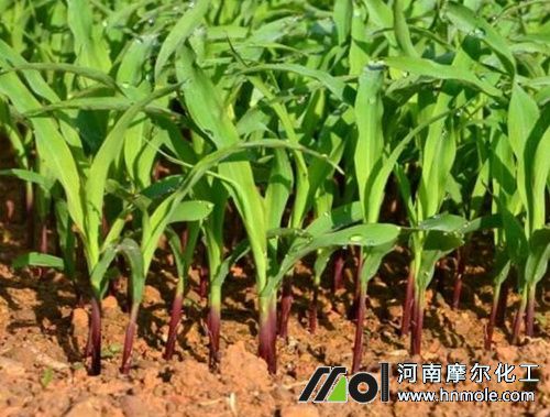 ��������׷ʩˮ�ܷ�