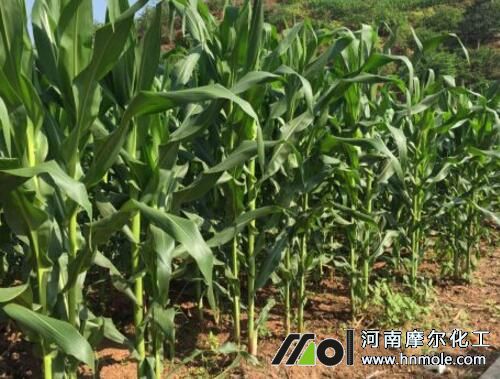 ���׶���׷ʩˮ�ܷ�