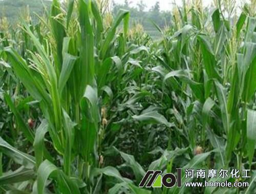 ���׳�����׷ʩˮ�ܷ�