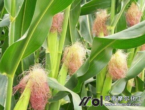 ���׽Y(ji��)����׷ʩˮ�ܷ�