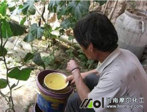 高鉀水溶肥沖施大棚蔬菜 高鉀水溶肥沖施大棚蔬菜