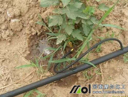 高鉀水溶肥滴灌蔬菜 高鉀水溶肥滴灌蔬菜