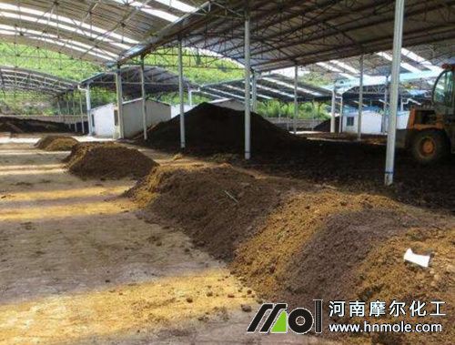 絲瓜種植施有機肥 絲瓜種植施有機肥