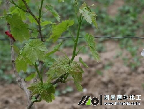 ������ѿ��׷ʩ����ˮ�ܷ�