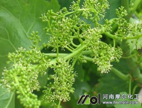 ���ѻ�ǰ��׷ʩˮ�ܷ�