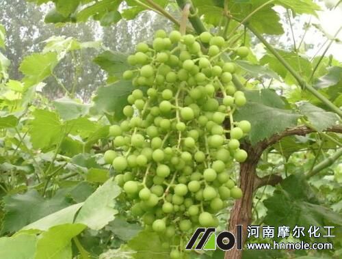 ���ѽY����׷���ˮ�ܷ�