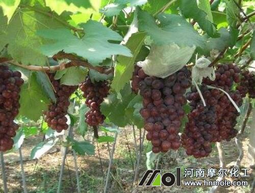 ����ˮ�ܷ��Ă���