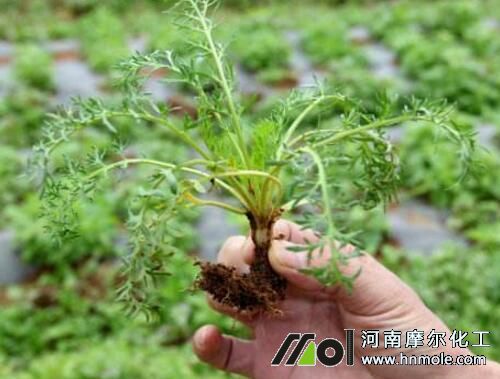 ���}��׷ʩ����ˮ�ܷ�