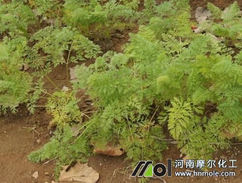 ���}��׷ʩ���ˮ�ܷ�