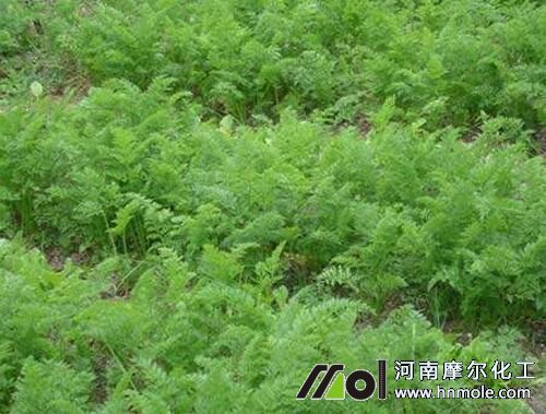 ���}��׷ʩ���ˮ�ܷ����