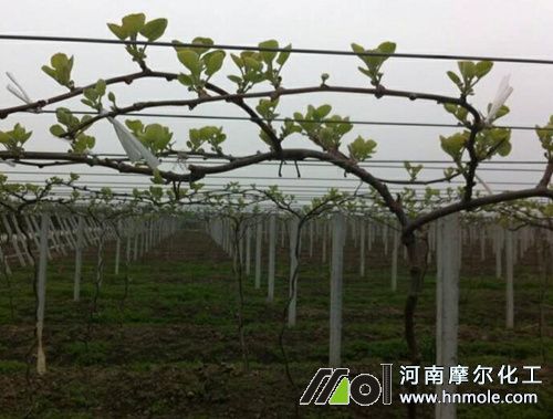 �J���Ұl(f��)ѿ��׷ʩˮ�ܷ�