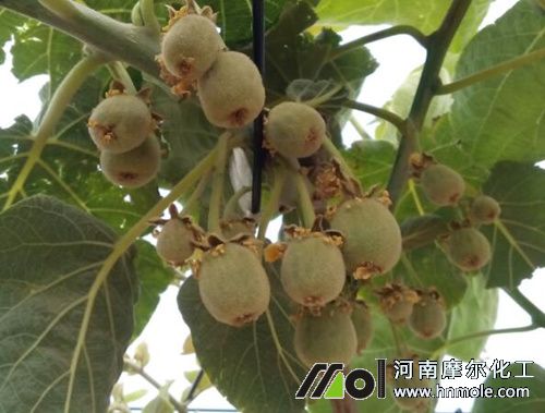 �J���ҽY(ji��)����׷ʩˮ�ܷ�