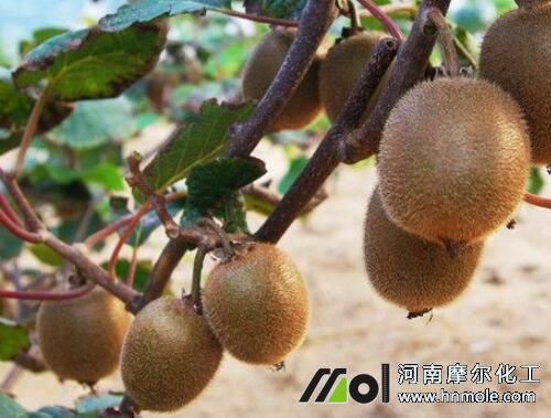 �J���҉ѹ���׷ʩˮ�ܷ�