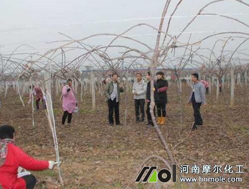 �J���Ҳɹ���׷��