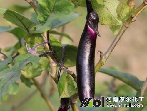 ���ӽY����׷ʩˮ�ܷ�