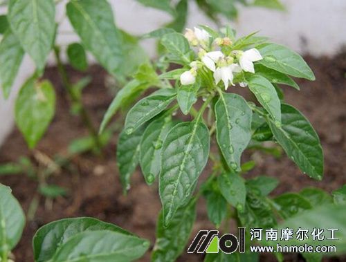 ���콷��ǰ��ʩ��