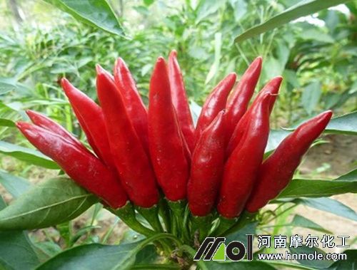 ���콷�Y����׷ʩ�ߵ��ˮ�ܷ�