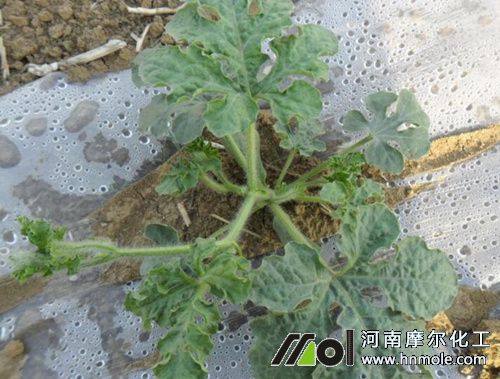 ����ʩ�����