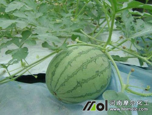 ����ʩ�ѹ���