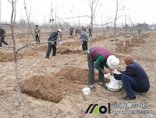 ����ʩ���(f��)�Ϸ�