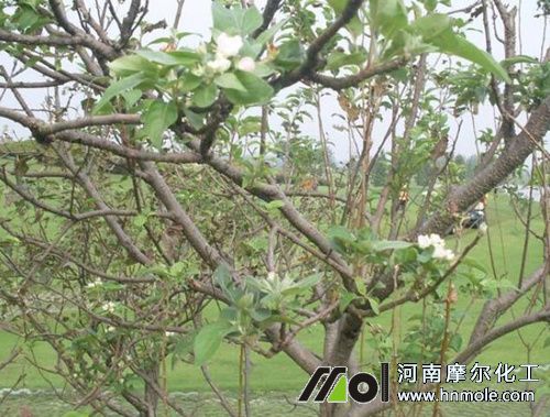 ��ǰ��׷ʩһ��ˮ�ܷ�