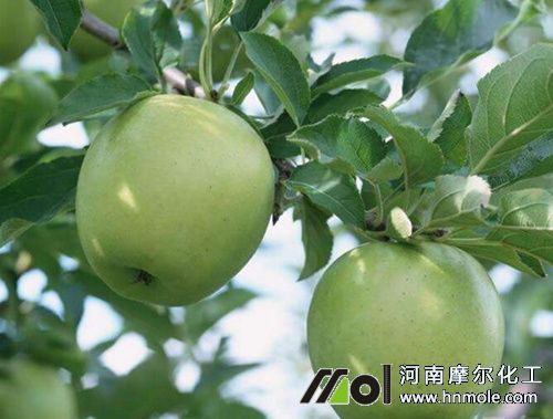 ������׷ʩ�ɴ�ˮ�ܷ�