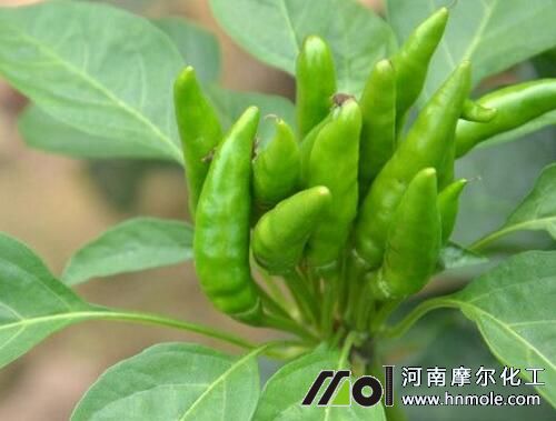 �����Y��׷ʩˮ�ܷ�