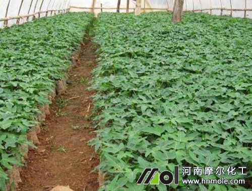 ľ��ʩ�ʕr(sh��)�g������