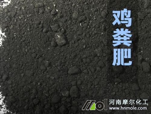 ���콷��ʲô����