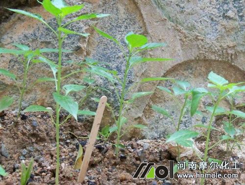 ���콷��ʲô����