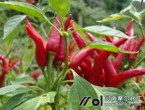 ���콷��ʲô����