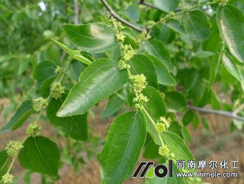 �������ʩ��