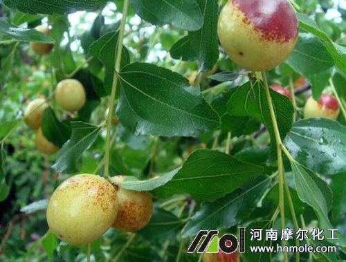 �������ʩ��