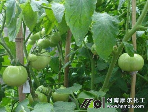 ��������׷�ʷ���