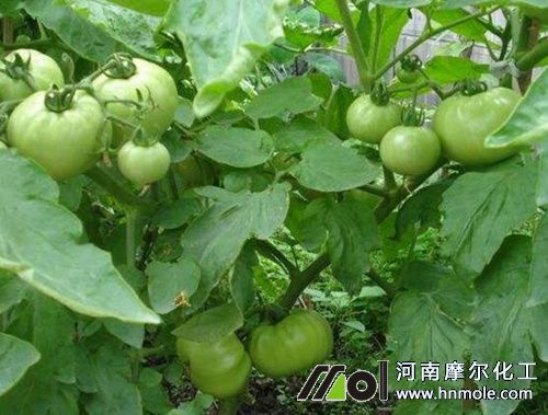 ��������׷�ʷ���